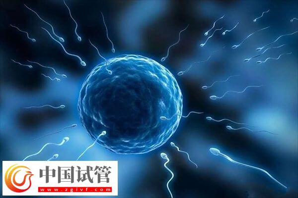 ivf和icsi哪个成功率高(图1)