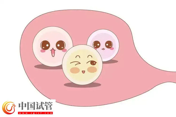 试管婴儿能做几次？(图1)