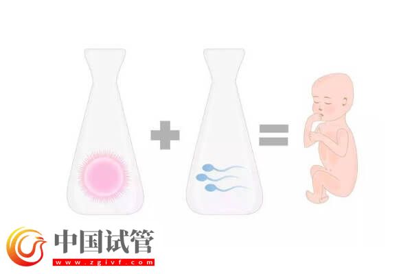 能不能做第四代试管婴儿了(图2)