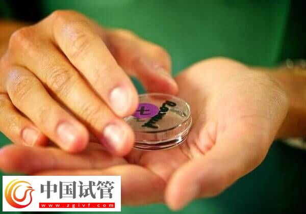 能不能做第四代试管婴儿了(图1)