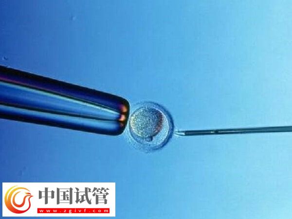 北京试管婴儿成功率最高的医院是哪个