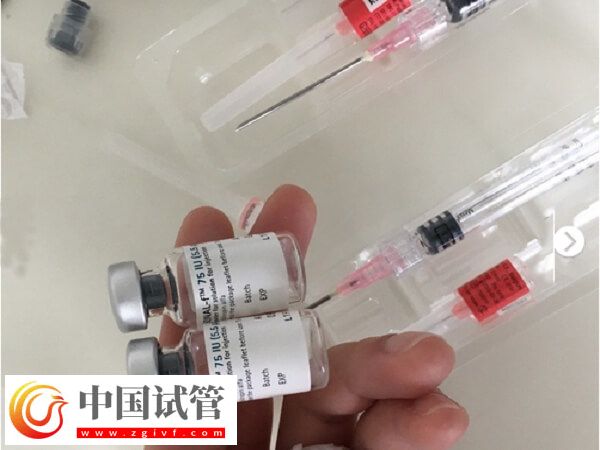 超长方案的卵泡质量会不会好点(图2)