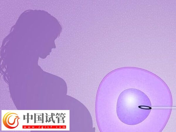 拉拉做试管婴儿前要做好什么准备(图1)