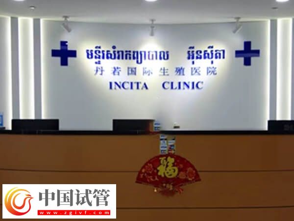 拉拉做试管婴儿前要做好什么准备(图3)