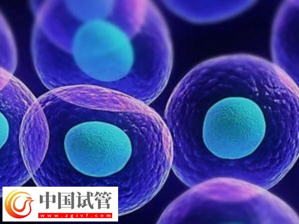 关节挛缩做试管有没有影响(图1)