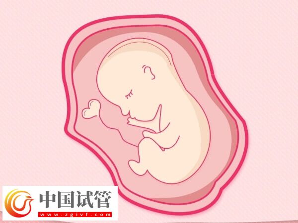 鲜胚移植失败会不会腹痛和流血(图3)