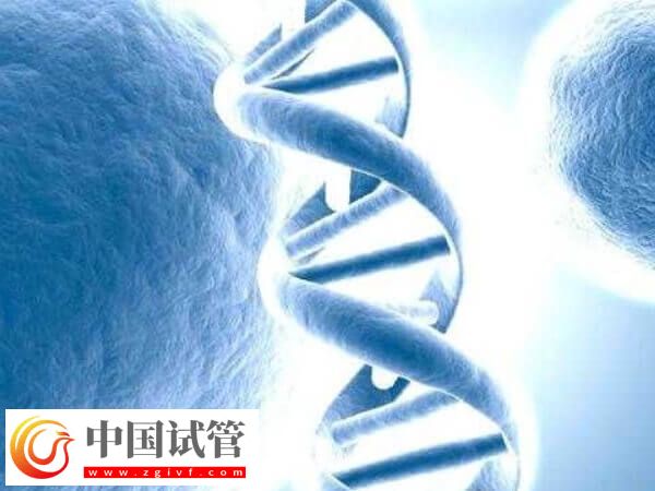 试管移植后有坠痛感正不正常