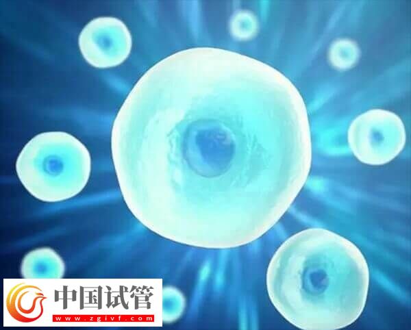 在长春妇产医院做一次试管婴儿的费用是多少呢？