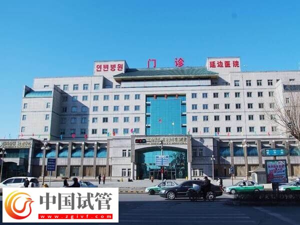 延边大学附属医院（延边医院）能做试管婴儿吗？