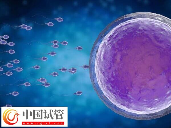 做试管促排卵要注意什么(图2)