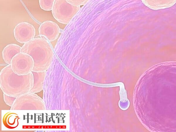 做试管促排卵要注意什么(图3)