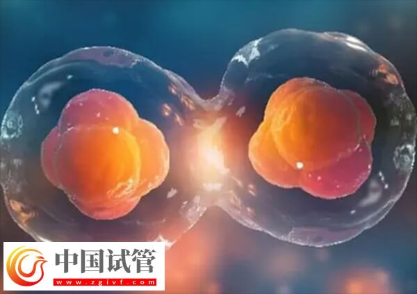 降调人工周期移植优点有哪些(图1)