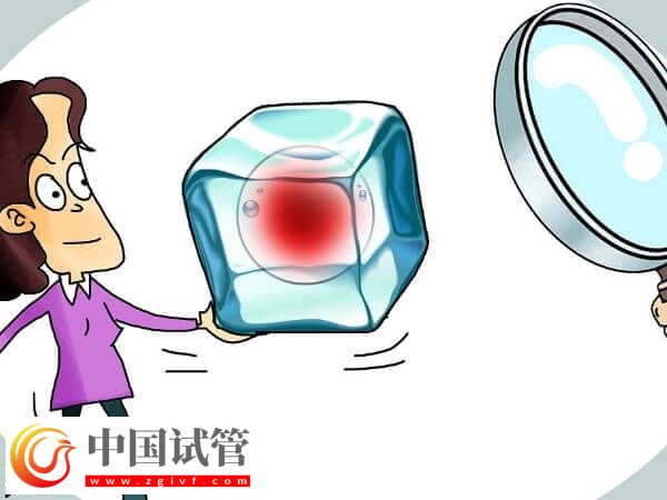 国内为什么禁止单身女性冻卵(图3)