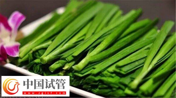为什么鲜胚移植后不建议吃韭菜？(图2)