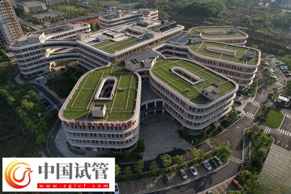 在湖南哪些医院可以做三代试管婴儿技术？