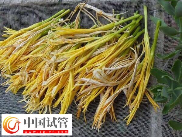 试管移植后吃干黄花菜对身体好不好