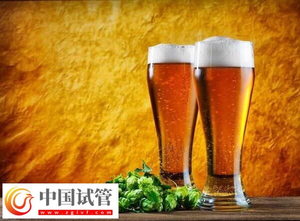 试管移植后喝啤酒有没有影响(图3)