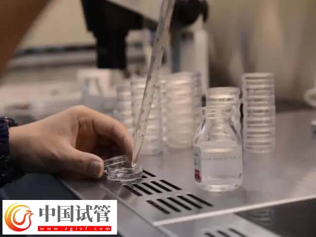 内膜移植窗口期一共查几次(图1)