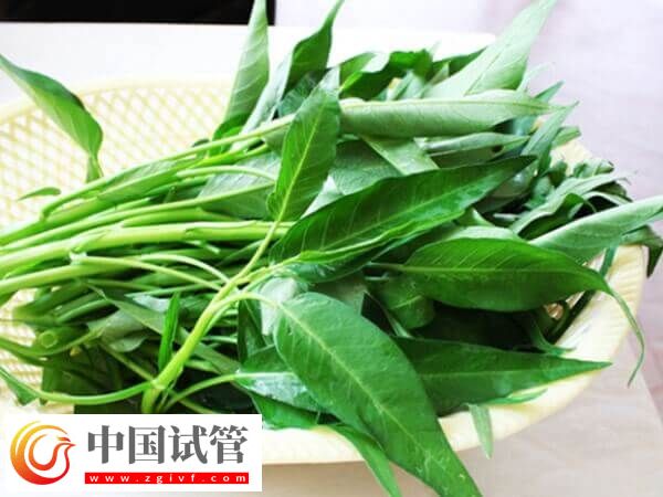 胚胎移植后吃空心菜是否有利于排便(图1)