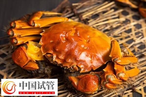 胚胎移植后为何不能食用螃蟹(图2)