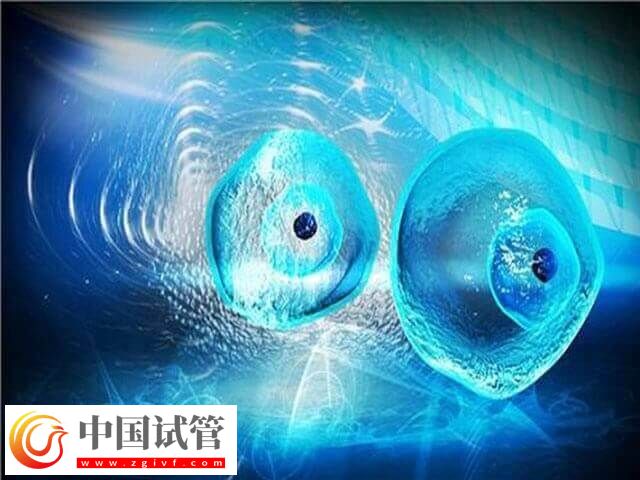 取卵费用和取卵个数有没有关(图1)