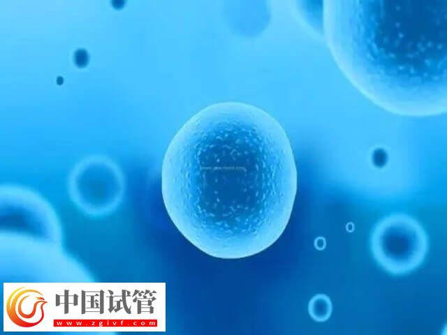 取卵第七天肚子鼓好大是怎么回事(图1)