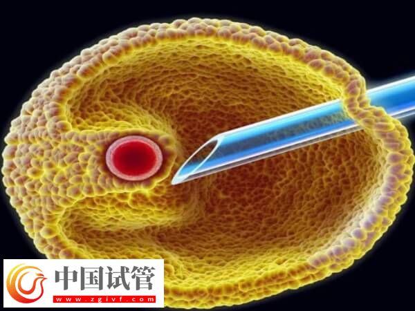 取卵第七天肚子鼓好大是怎么回事(图2)