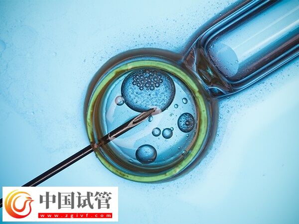 取卵后精卵不结合该怎么办(图1)