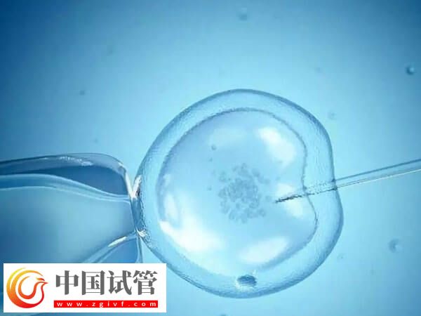 取卵后精卵不结合该怎么办(图2)