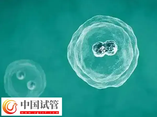 试管移植后肩胛骨疼热敷几次好