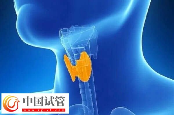 试管促排一般用多少支果纳芬(图4)
