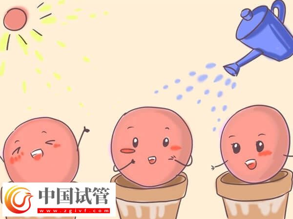 用果纳芬促排的成功率高不高