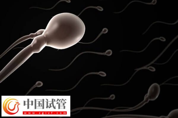 试管婴儿中用果纳芬好不好(图2)