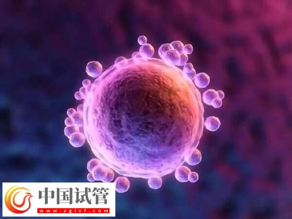 试管婴儿中用果纳芬好不好