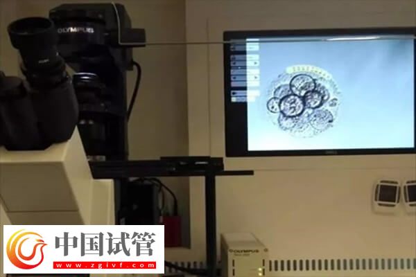 养囊失败的三大原因是哪些(图1) 养囊失败的三大原因是哪些(图1)