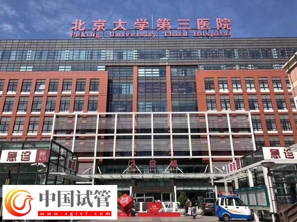 北医三院三代试管婴儿怎么做