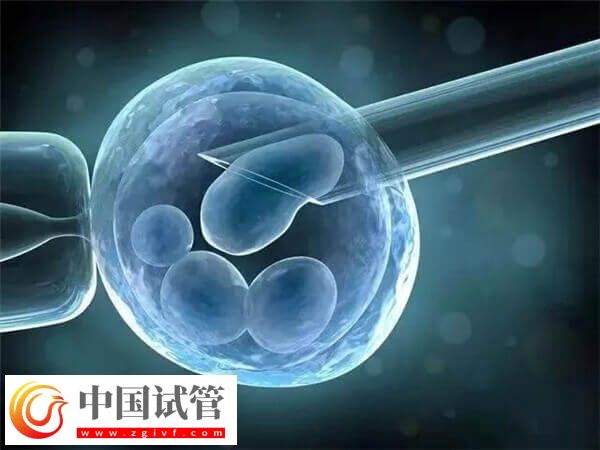解冻4bb囊胚当天要等几小时才能安排移植？(图1)