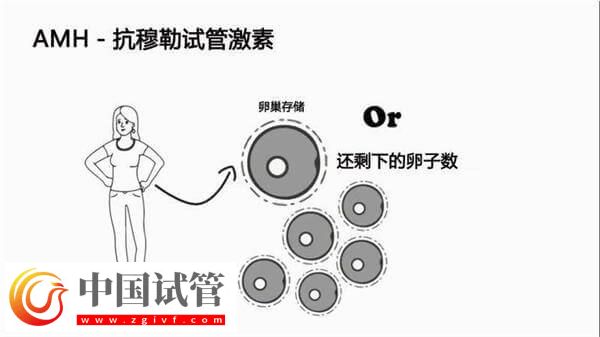 40岁女性的amh数值为5是正常的吗？参考值是多少？