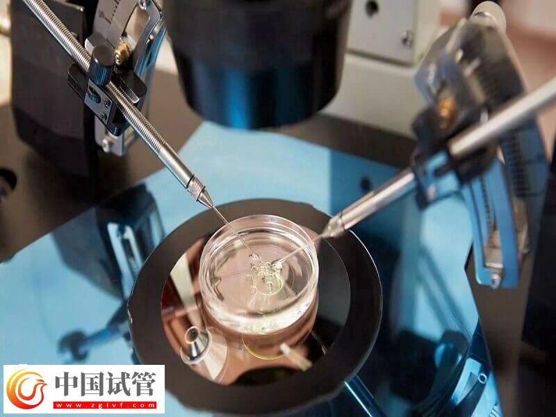 人工授精跟试管婴儿有什么区别(图2)