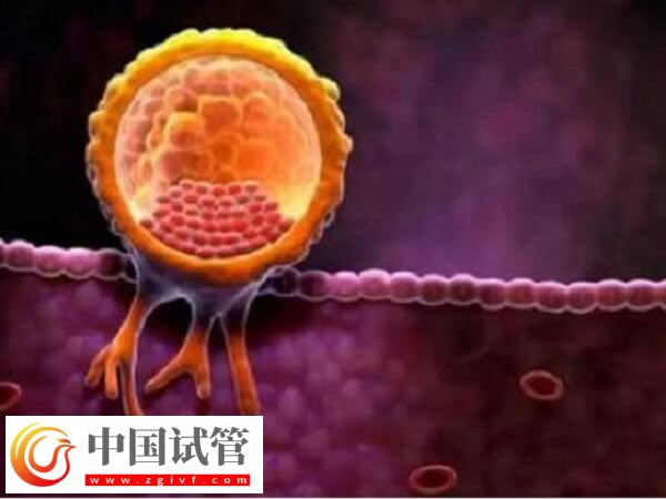 做试管婴儿子宫内膜厚度多少mm适合移植胚胎？(图1)