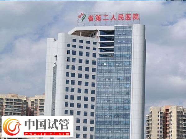 贵阳第二人民医院试管婴儿生双胞胎费用多少