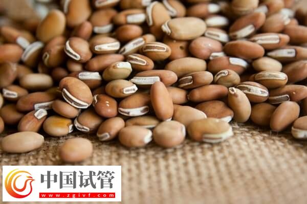 子宫肌瘤女性不能吃的食物有哪些(图2)