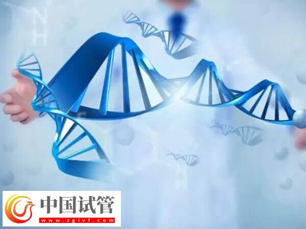 先天性肾病怎么做试管婴儿