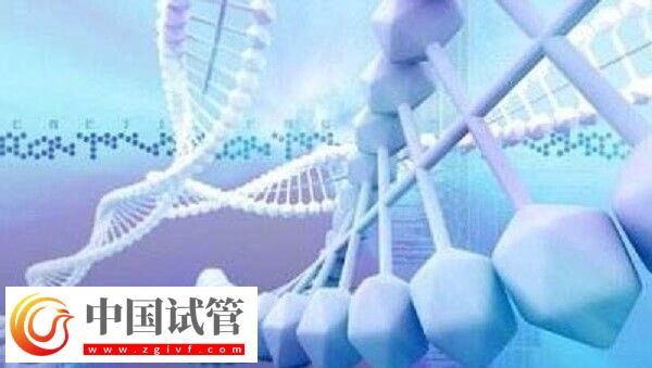 先天性肾病怎么做试管婴儿(图2)