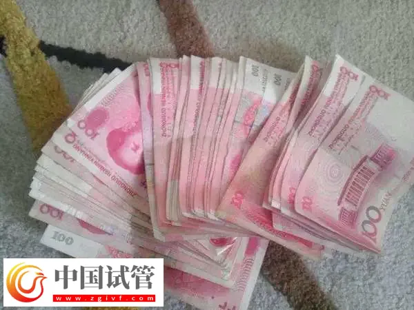 武汉同济生殖医学专科医院做试管生双胞胎费用多少