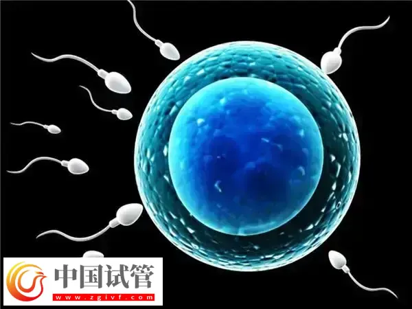 桥本甲状腺炎能不能做试管婴儿