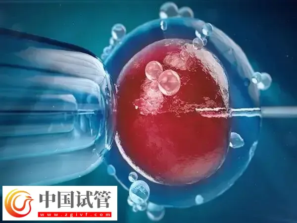 短方案取卵后多久移植胚胎