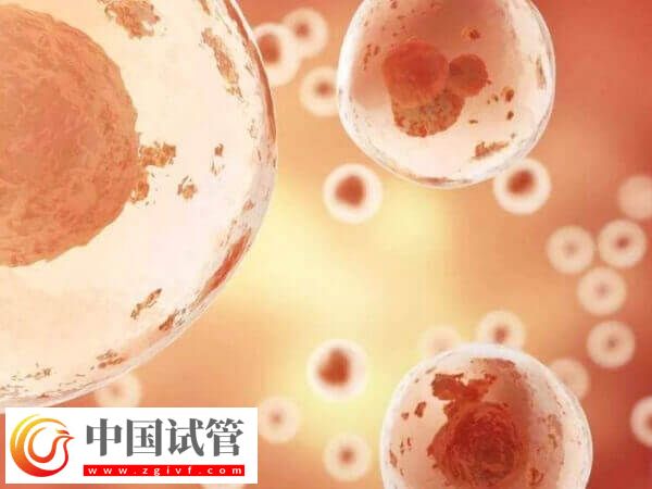 第四代试管婴儿适不适合大龄女性(图3)