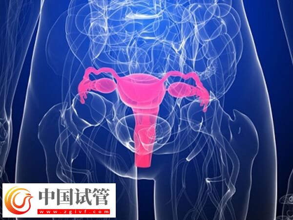 移植优质胚胎为什么不着床(图2)