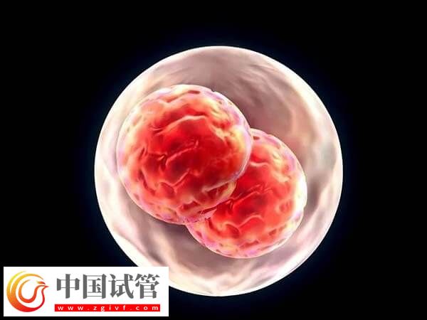 上海长征医院做试管的流程是什么(图2)